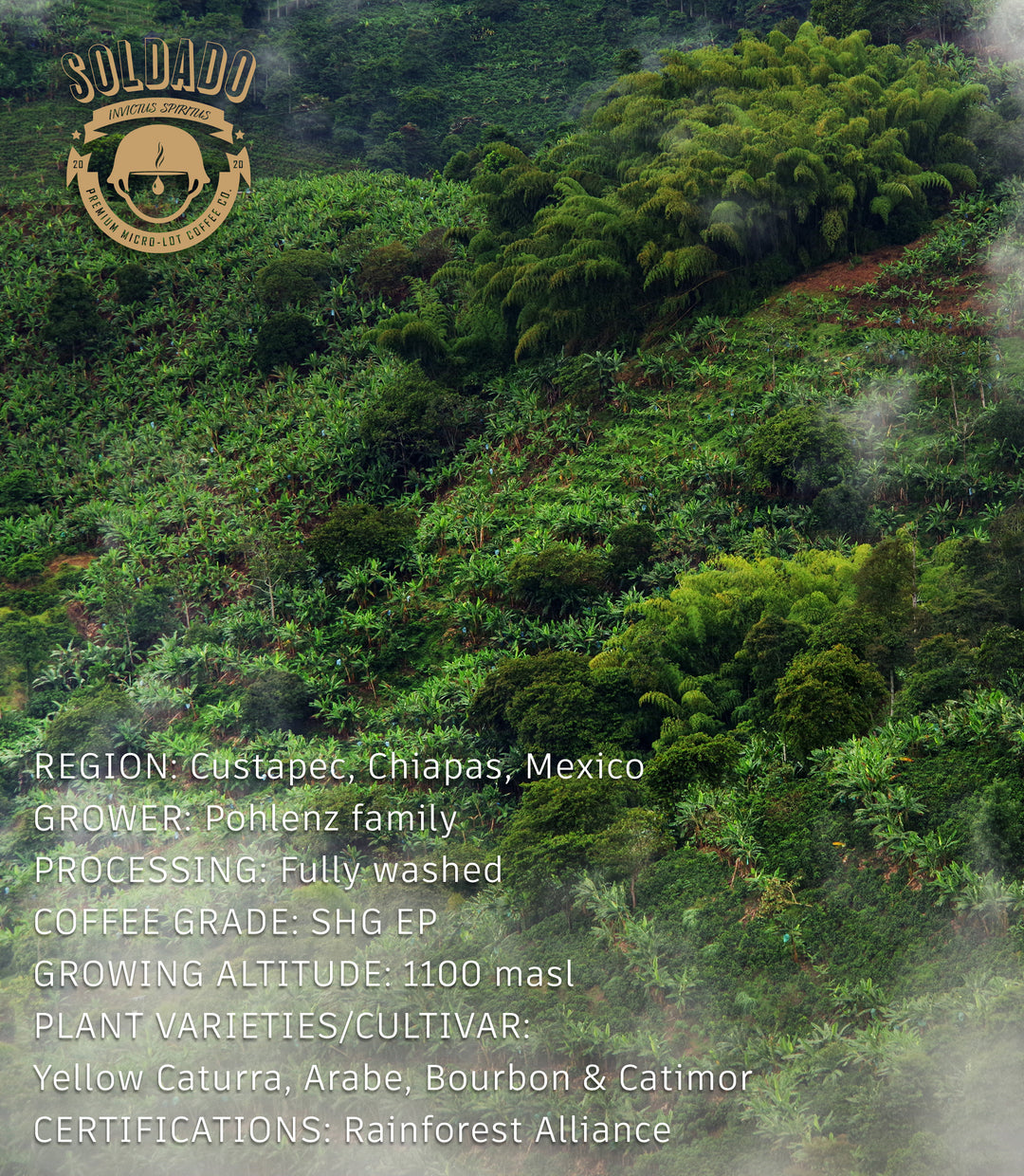 Mexico Dark Roast RFA No. 0311